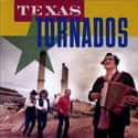 Texas Tornados on Random Best Tejano Bands/Artists