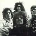Blues-rock, Rock music, Heavy metal   Mountain is an American rock band that formed in Long Island, New York in 1969.