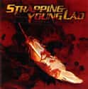 Strapping Young Lad on Random Best Devin Townsend and Strapping Young Lad Albums