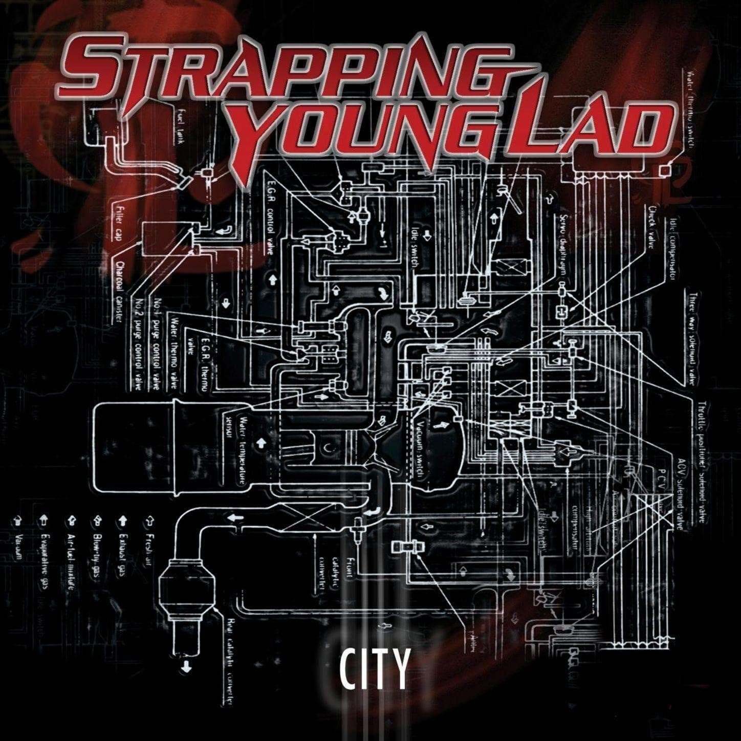 Ranking All 24 Devin Townsend & Strapping Young Lad Albums