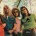 Heavy metal, Acid rock, Progressive rock   Buffalo were an Australian rock band formed in August 1971 by founding mainstay Dave Tice on lead vocals.