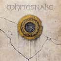 Whitesnake on Random Best Self-Titled Albums