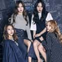 Unicorn is listed (or ranked) 19 on the list List Of All Disbanded K-pop Girl Groups, Ranked