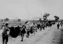 Bataan Death March on Random Horrific Japanese Crimes In WWII That History Forgot