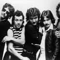 Blue Öyster Cult on Random Best Bands with Colors in Their Names