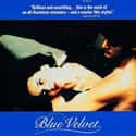 Blue Velvet on Random Best Mystery Movies
