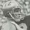 Bob Griese on Random Quarterback To Achieve A Perfect Passer Rating