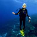 Bonaire on Random Best Countries for Scuba Diving