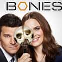 Bones on Random Best Lawyer TV Shows