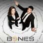 Emily Deschanel, David Boreanaz, Michaela Conlin   Bones is an American procedural comedy-drama television series that premiered on Fox in the United States on September 13, 2005.