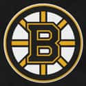 Boston Bruins on Random Best NHL Teams