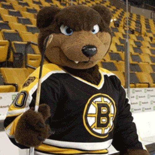 All 30 NHL Mascots, Ranked By Hockey Fans