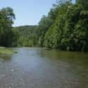 Bourbeuse River on Random Best American Rivers for Canoeing