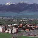 Bozeman on Random Most Underrated Cities in America