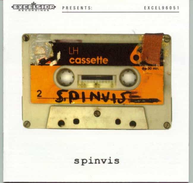 Spinvis