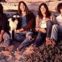 Crazy Horse on Random Best Bands Named After Historical Figures