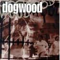 Dogwood on Random Best Christian Hardcore Bands