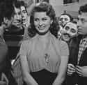 Sophia Loren on Random Most Attractive Actress At 25 Years Old