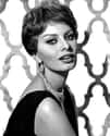 Sophia Loren on Random Most Beautiful Women Of The '60s