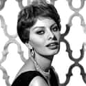 Sophia Loren on Random Most Beautiful Women Of The '60s