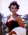 Rome, Italy   Sophia Loren is an Italian-French film star. She began her career at age 14 after entering a beauty pageant in 1949.