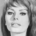 Sophia Loren on Random Celebrities You Didn't Know Use Stage Names