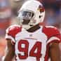 Sam Acho is listed (or ranked) 48 on the list The Best Arizona Cardinals Linebackers of All Time