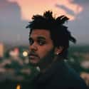 The Weeknd on Random Greatest R&B Artists
