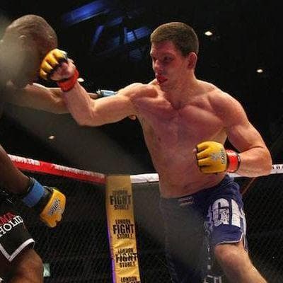 The Best Swedish UFC Fighters Of All Time, Ranked By Fans