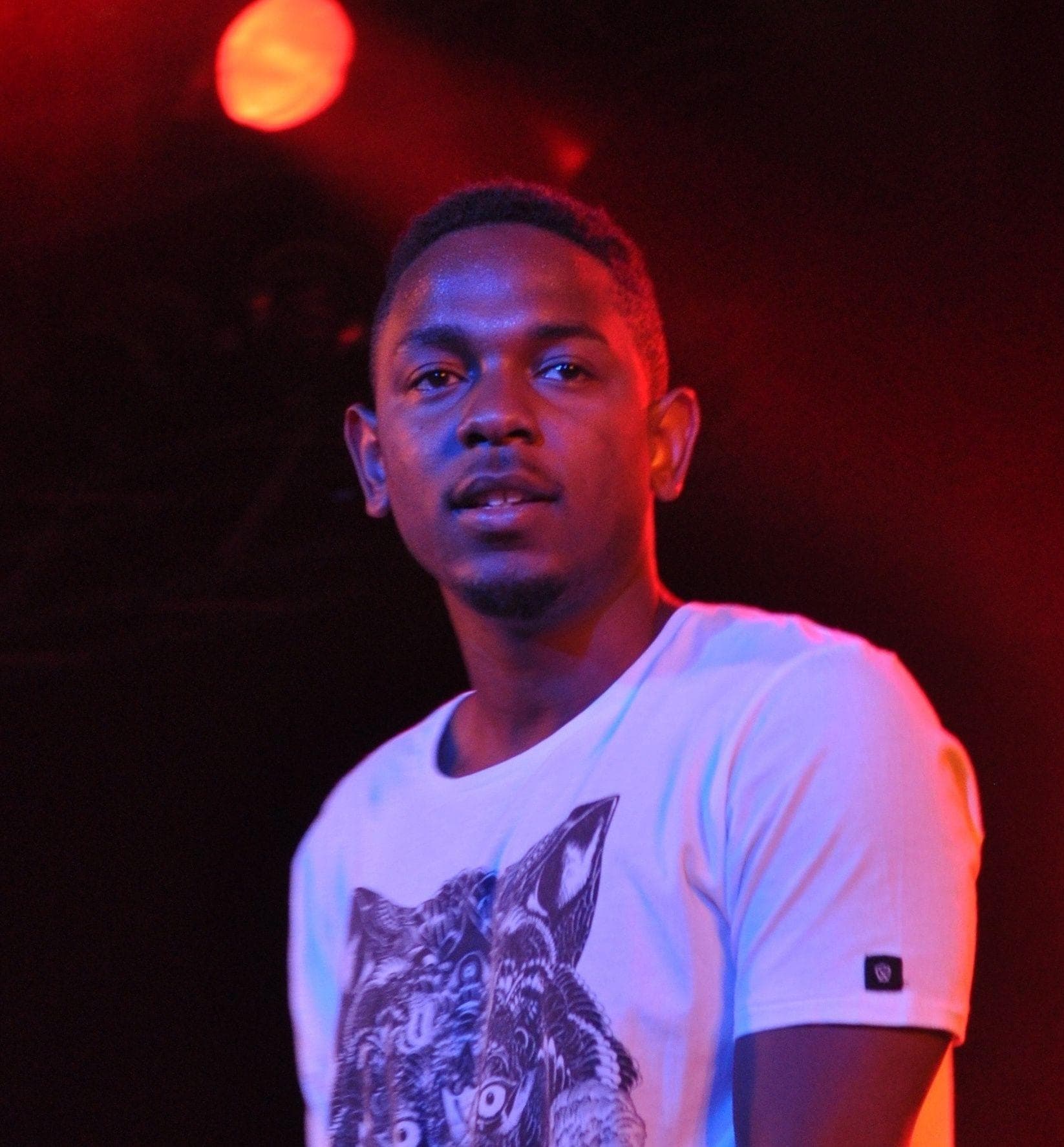 Kendrick Lamar is listed (or ranked) 5 on the list The Best Rappers of the 2000s