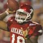Robert Johnson is listed (or ranked) 26 on the list The Best Arkansas Razorbacks Quarterbacks Of All Time