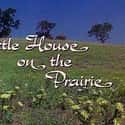 Little House on the Prairie on Random Best Period Piece TV Shows