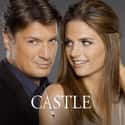 Castle on Random TV Shows Canceled Before Their Time