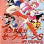 Sailor Moon is listed (or ranked) 19 on the list The 25+ Best First Anime to Watch for New Fans