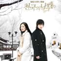 Tree of Heaven on Random Most Tragically Beautiful Korean Dramas