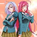 Rosario + Vampire on Random Best Romance Anime