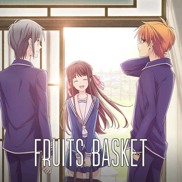 14 Best Anime Like Fruits Basket