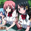 Heaven's Lost Property on Random Best Anime Like 'High School DxD'