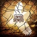 Last of a Dying Breed on Random Best Lynyrd Skynyrd Albums