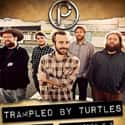 Trampled By Turtles on Random Best Progressive Bluegrass Bands/Artists