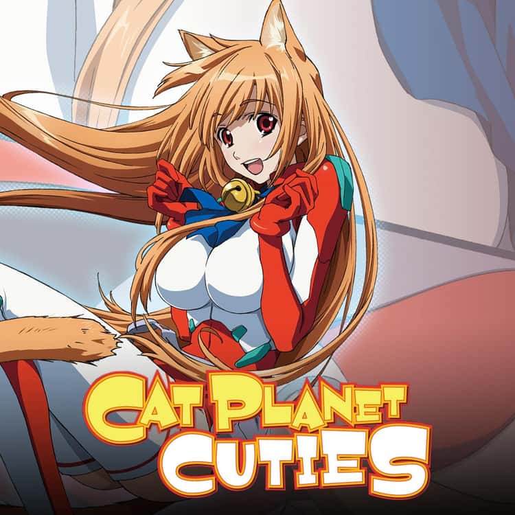 Best Catgirls Anime List | Popular Anime With Catgirls