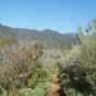 Zuma Canyon is listed (or ranked) 18 on the list The Best Hiking in Los Angeles