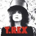 T. Rex on Random Best Self-Titled Albums