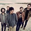 Young the Giant on Random Best Bands Like Lumineers