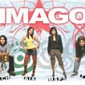 Imago on Random Best Original Pilipino Music Bands/Artists