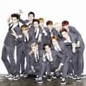 K-pop, Electronica, Hip hop   Exo is a South Korean-Chinese boy group based in Seoul. Formed by S.M.