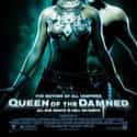 Queen of the Damned on Random Best Movies About Women Who Keep to Themselves