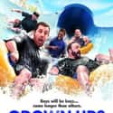 2010   Grown Ups is a 2010 American buddy comedy film directed by Dennis Dugan, and written by Adam Sandler, who also stars in this film.