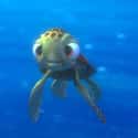 Squirt on Random Cutest Pixar Animals