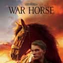 War Horse on Random Best Steven Spielberg Movies